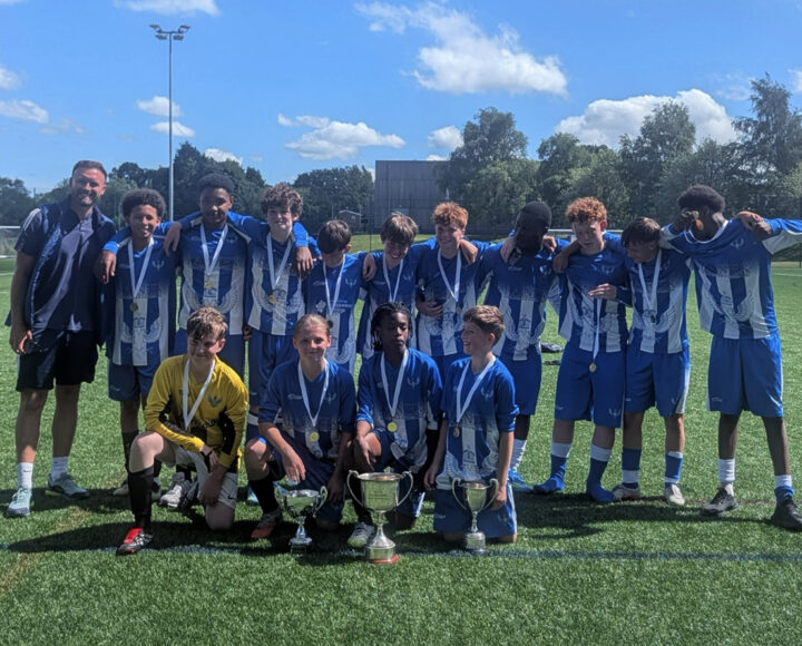 A group of young men in blue soccer uniforms posing with medals on a green field, smiling and celebrating a victory under a bright blue sky.